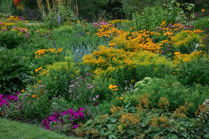 Improve Environmental Health